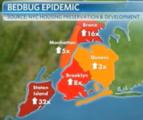 Video: Bedbug infestation statiscs in boroughs of New York